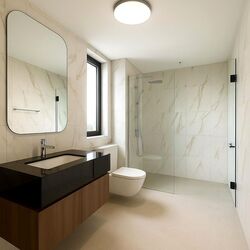 Claydence (D15), Apartment #498729151